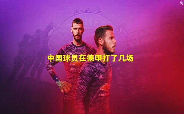 中国球员在德甲打了几场