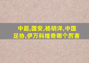 中超,国安,杨明洋,中国足协,伊万科维奇哪个厉害