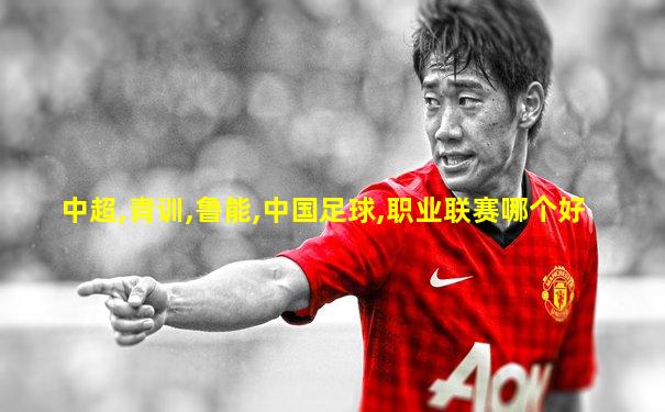 中超,青训,鲁能,中国足球,职业联赛哪个好