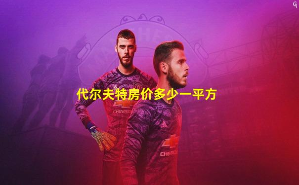 代尔夫特房价多少一平方