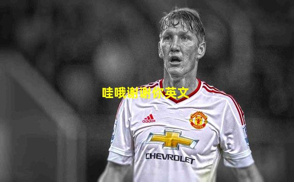 哇哦谢谢你英文