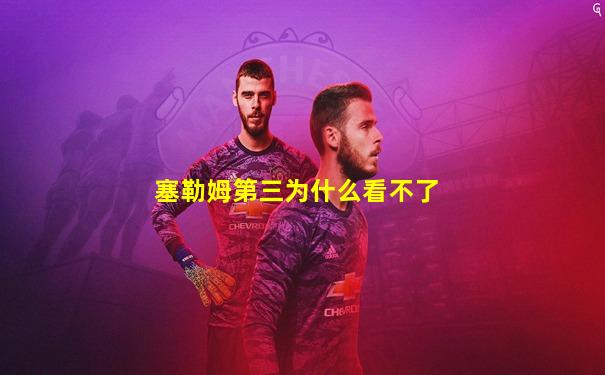 塞勒姆第三为什么看不了