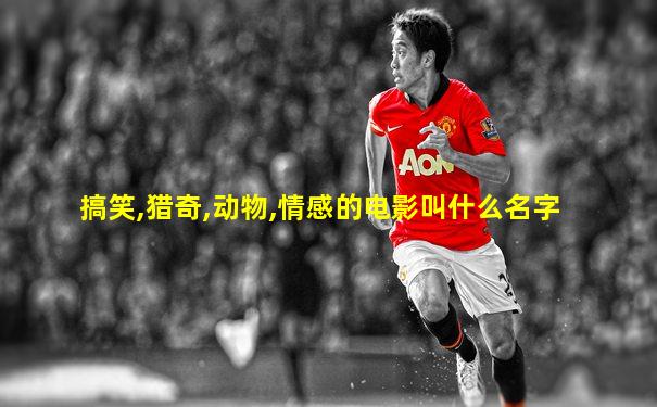搞笑,猎奇,动物,情感的电影叫什么名字
