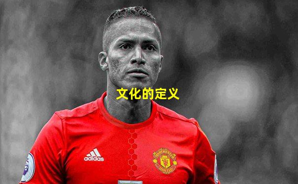 文化的定义
