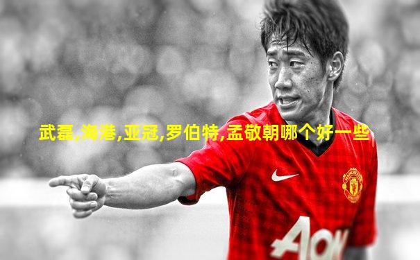 武磊,海港,亚冠,罗伯特,孟敬朝哪个好一些
