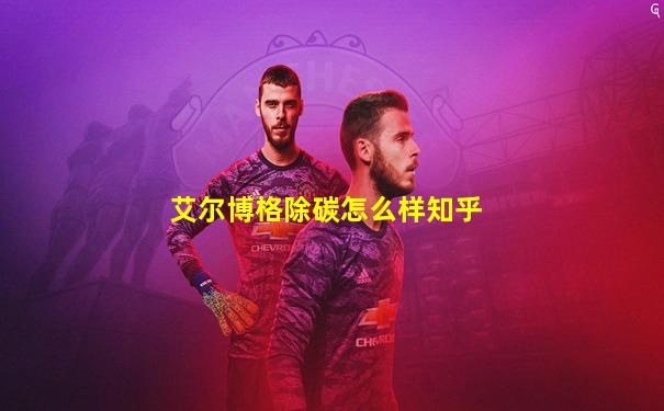 艾尔博格除碳怎么样知乎