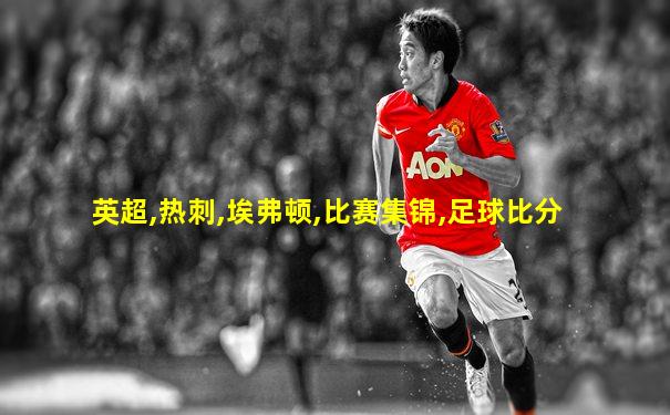 英超,热刺,埃弗顿,比赛集锦,足球比分