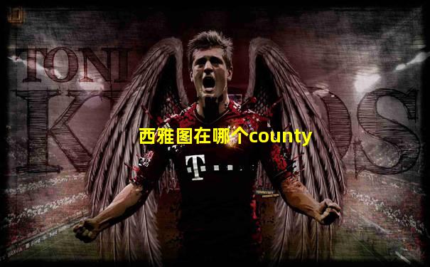 西雅图在哪个county