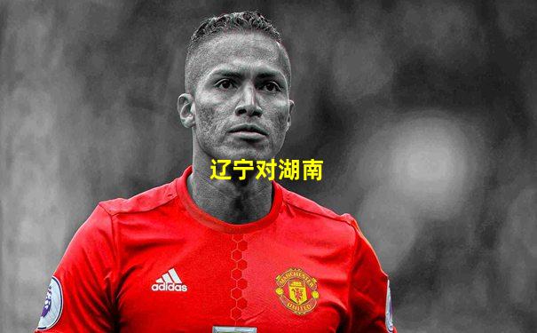 辽宁对湖南