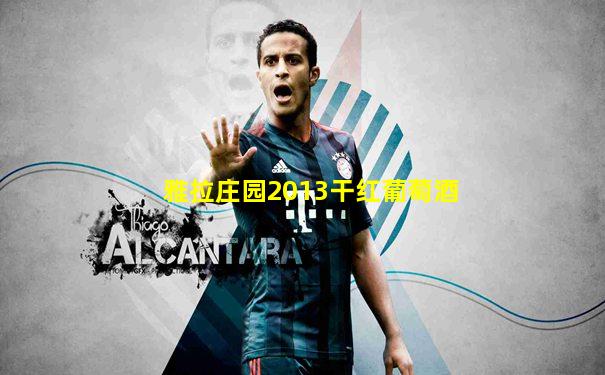 雅拉庄园2013干红葡萄酒