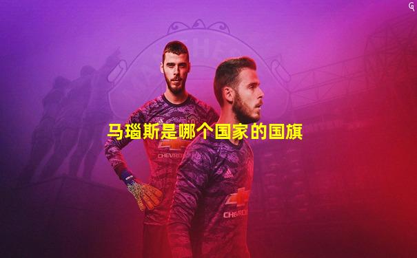 马瑙斯是哪个国家的国旗