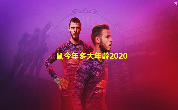 鼠今年多大年龄2020